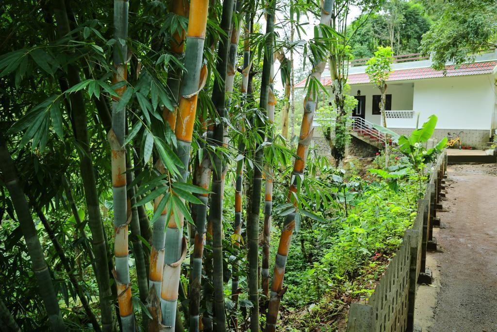 Spring And Valley View เทกคาดี ภายนอก รูปภาพ